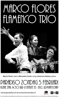 Marco Flores Flamenco trio (Madrid)