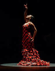 foto: g-ph-luis-malibrán