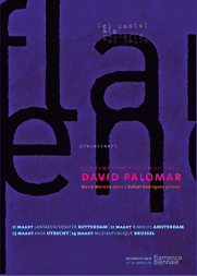 INTERMEZZO FLAMENCO David Palomar